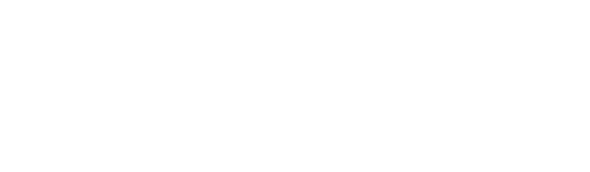 smalltape_schriftzug_w smalltape logo